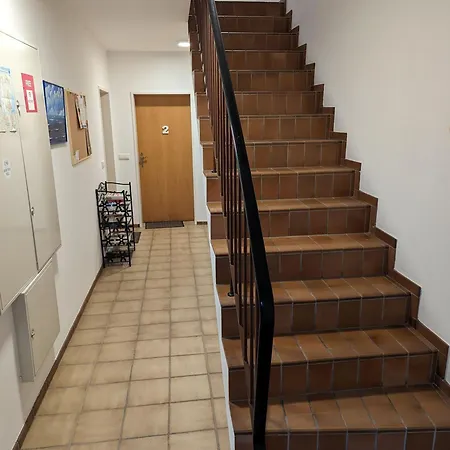 Appartement Gaestehaus Vogel - Sturmmoewe
