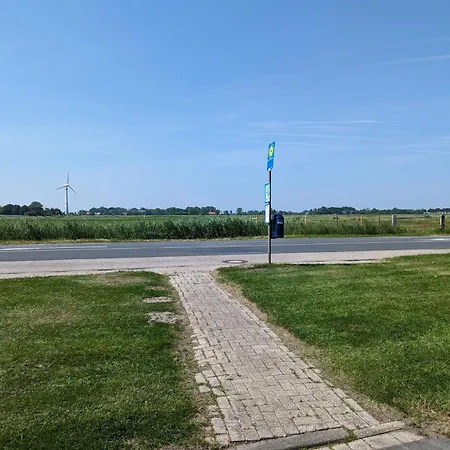 Gaestehaus Vogel - Sturmmoewe *